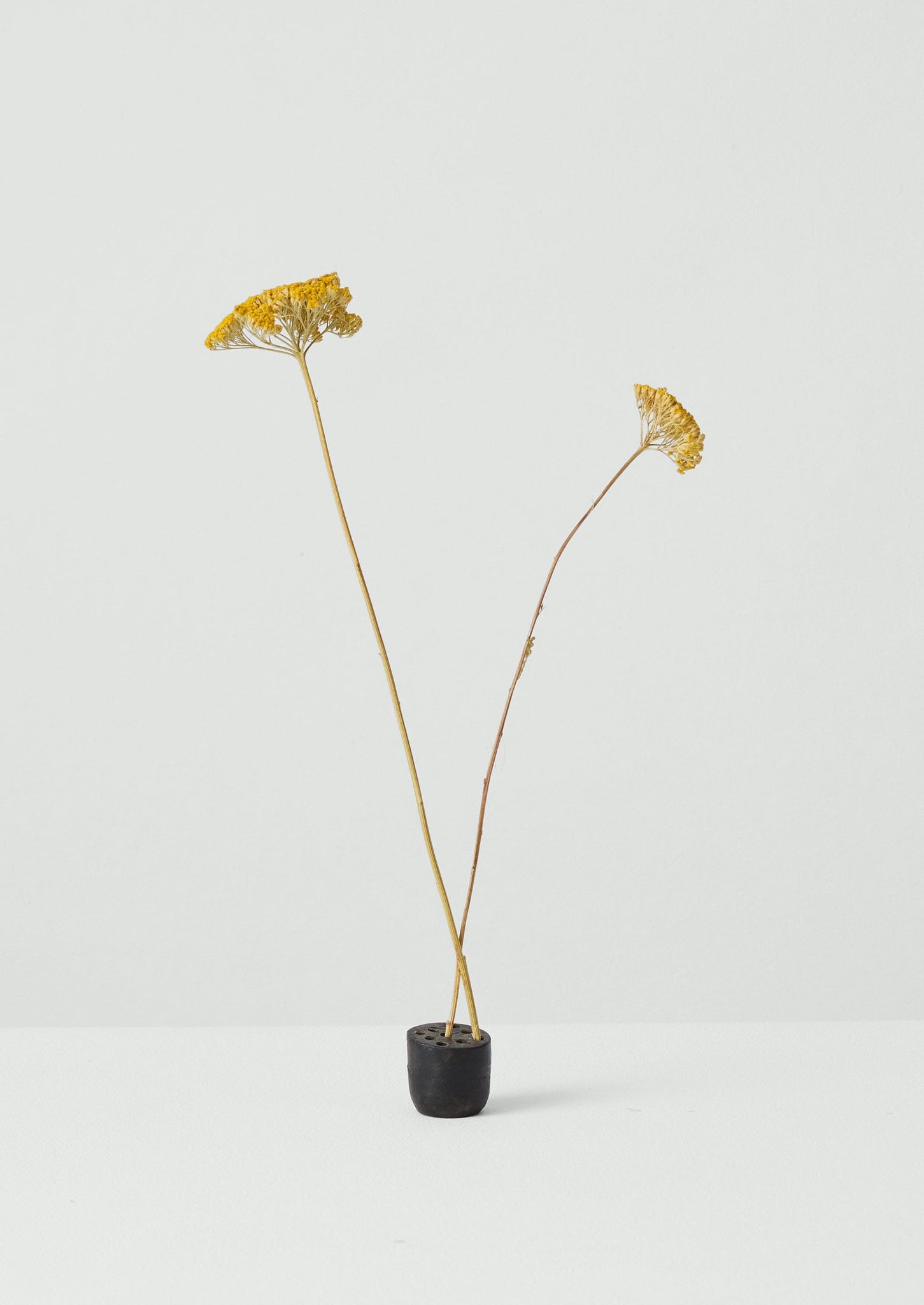 Metal Flower Frog | Iron