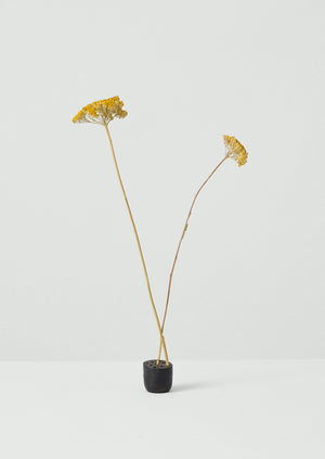 Metal Flower Frog | Iron