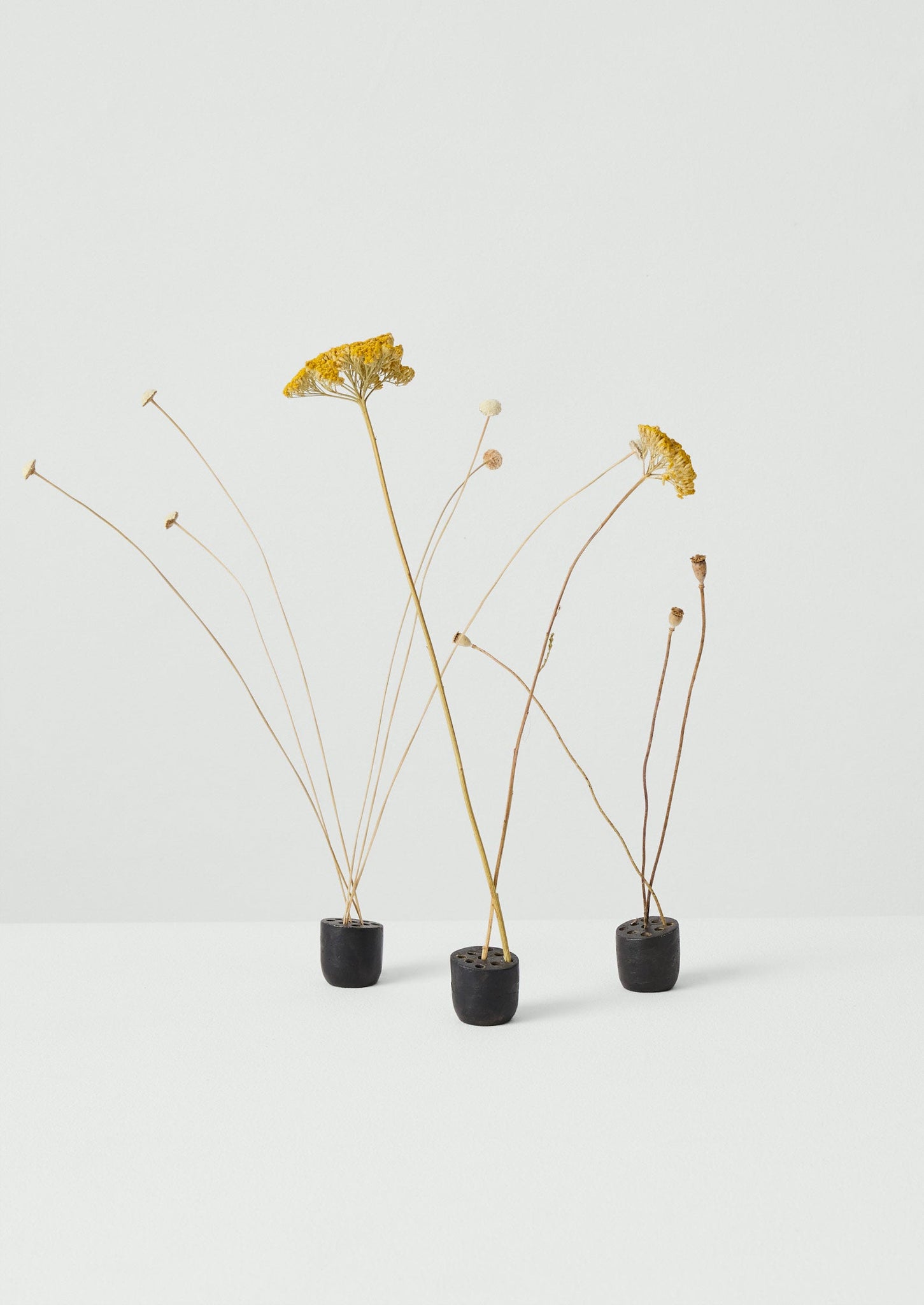 Metal Flower Frog | Iron
